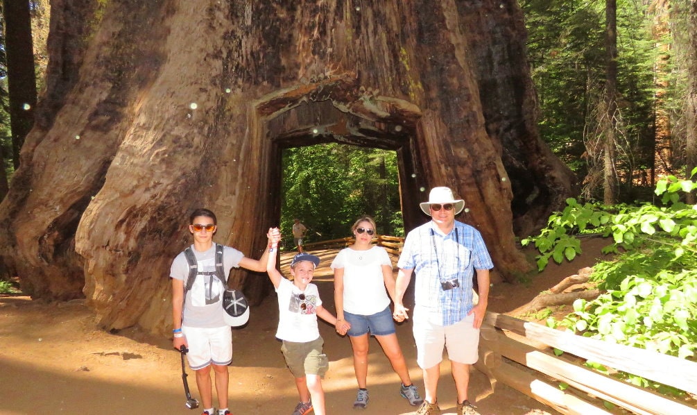 Yosemite-giant- sequoias-groves-redwoods